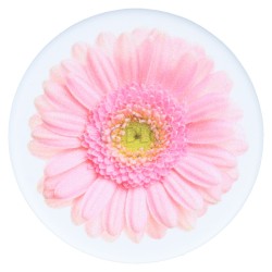 PopSocket Basic Gerber Daisy