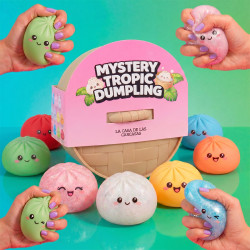 Mistery Tropic Dumpling